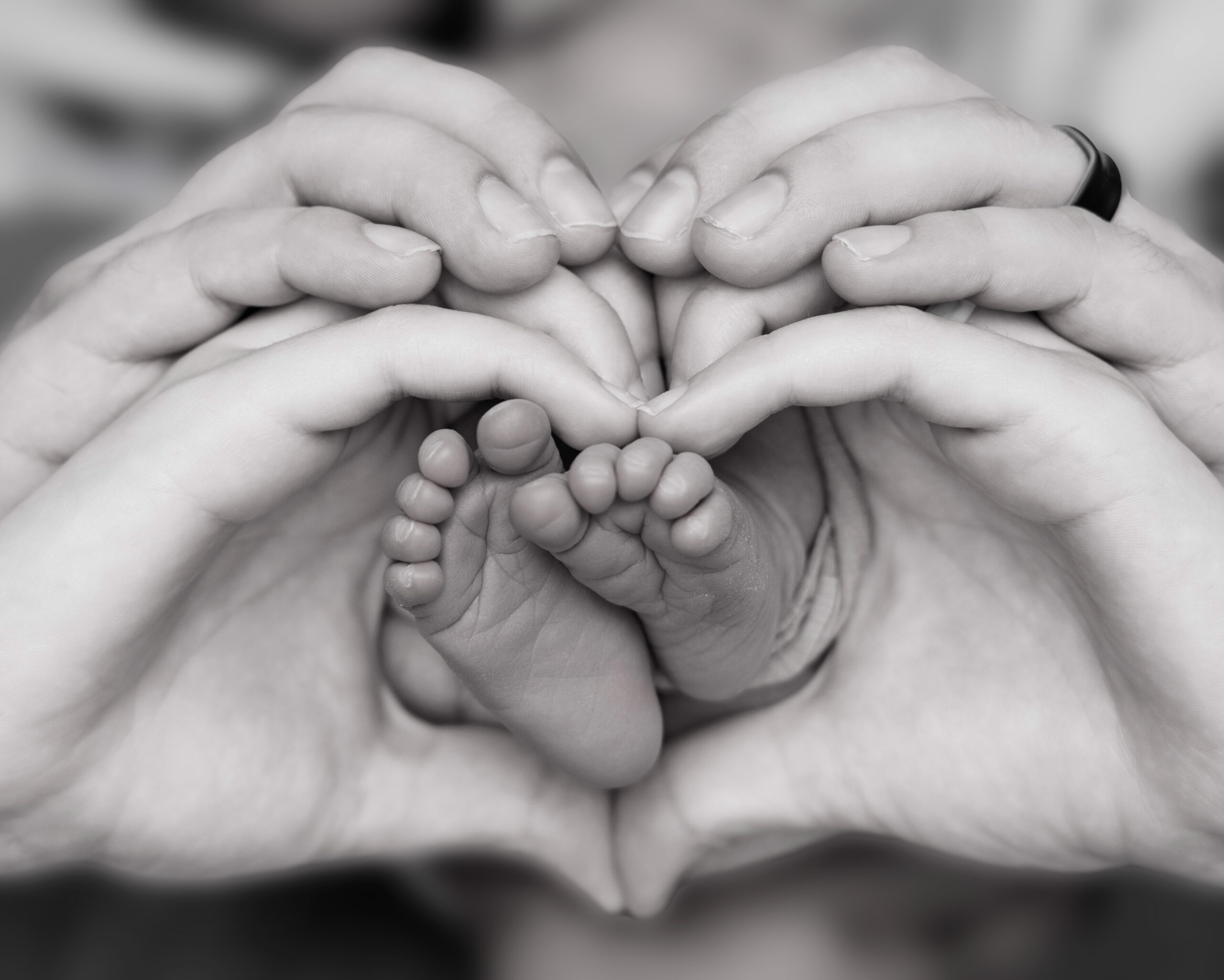 Newborn Photo of babies feet and parents' hands in the shape of a heart.